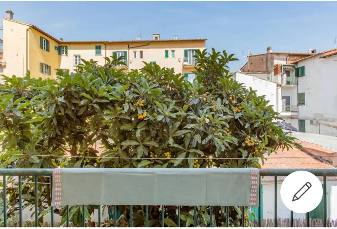 Rooms In Chiassetto 피사 외부 사진